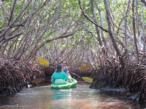 st petersburg mangrove tunnel